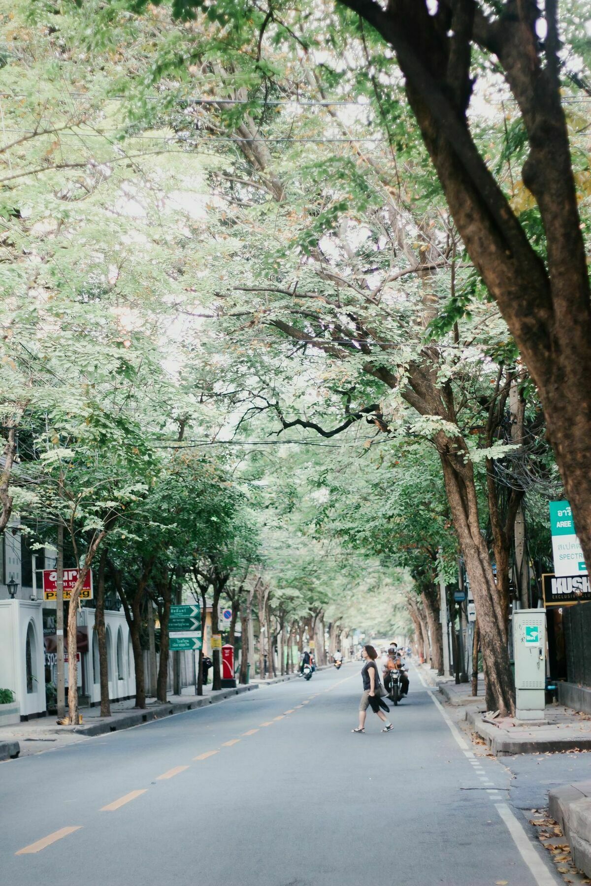 Weeping Willow Sukhumvit 26 Bangkok Ngoại thất bức ảnh